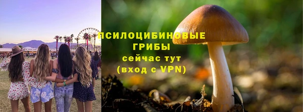 jwh Козельск