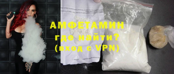 индика Коряжма
