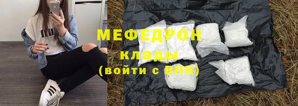 индика Коряжма
