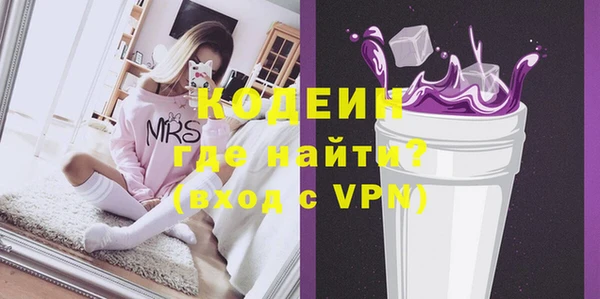 индика Коряжма