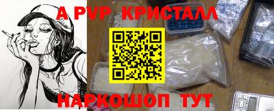 PSILOCYBIN Кингисепп