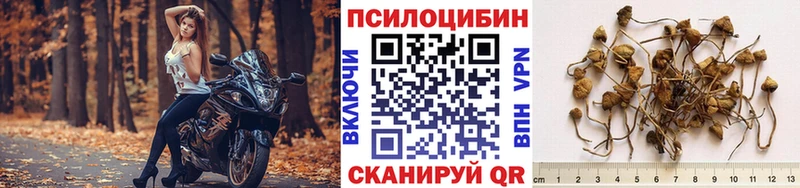 Псилоцибиновые грибы MAGIC MUSHROOMS Ступино