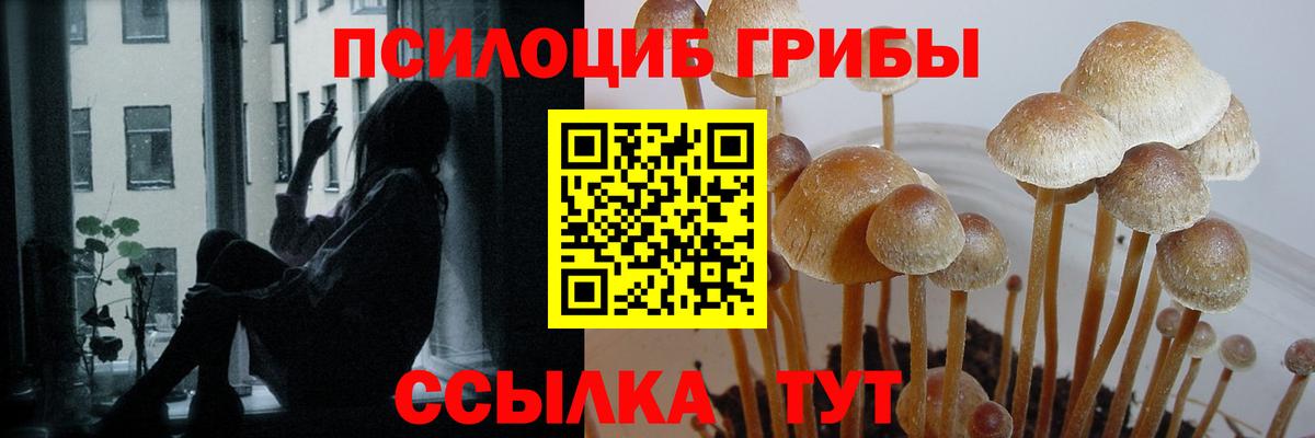 Псилоцибиновые грибы ЛСД  хочу   Ступино  Псилоцибиновые грибы мухоморы  Вход с VPN 